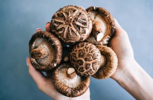 What Mushrooms Are Good For Anxiety